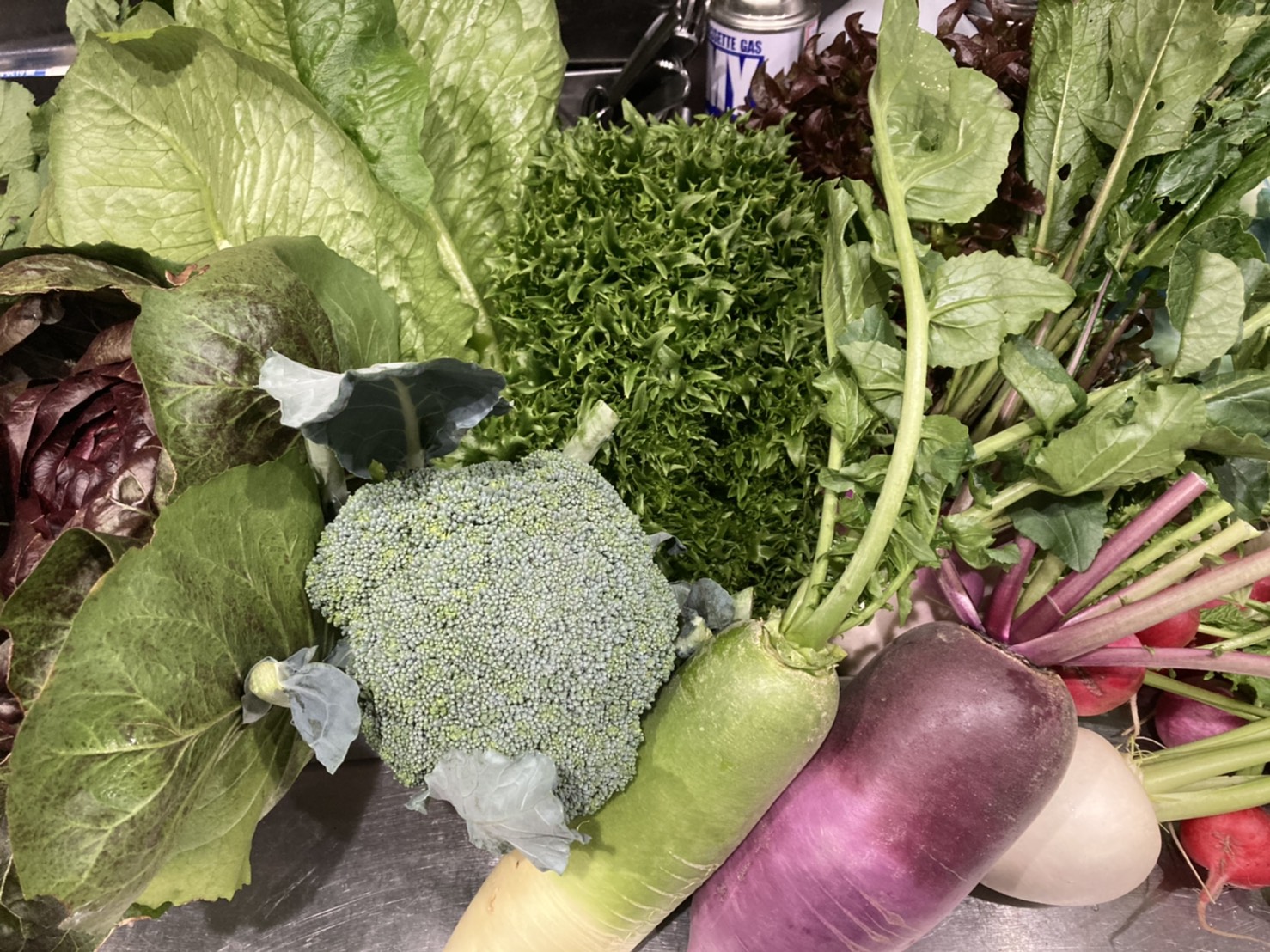 三浦野菜