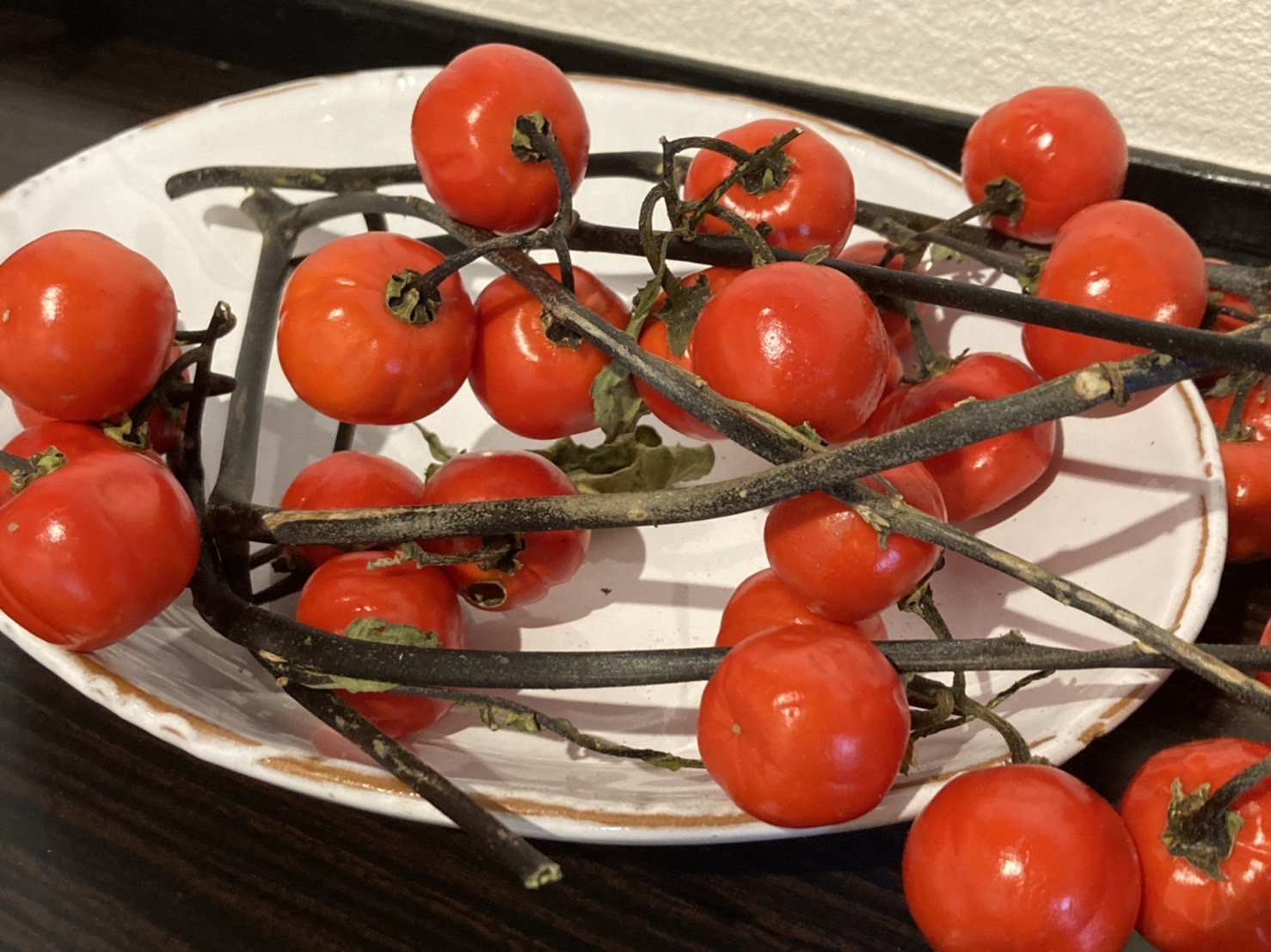 ハイカラ、大賑わい♫